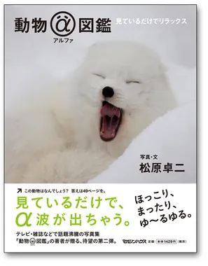 写真集『動物アルファ図鑑』の表紙