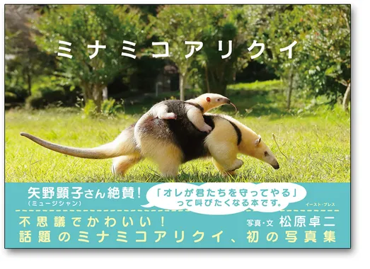 写真集『ミナミコアリクイ』の表紙