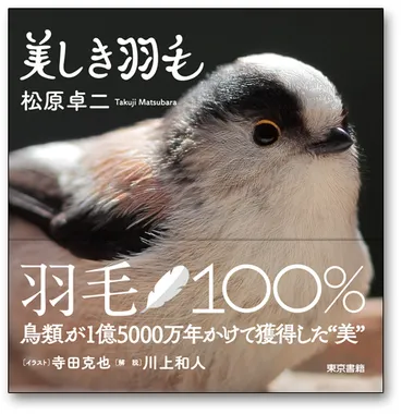 写真集『美しき羽毛』の表紙