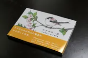 エナガの一生