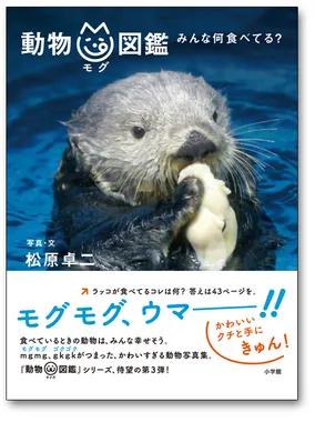 写真集『動物mg図鑑』の表紙